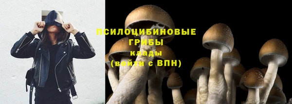 соль курить ск Ельня