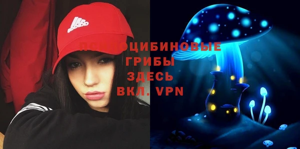 соль курить ск Ельня