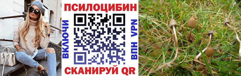 Купить закладки  Сальск  Галлюциногенные грибы MAGIC MUSHROOMS 